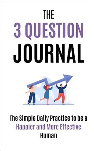 3 question journal